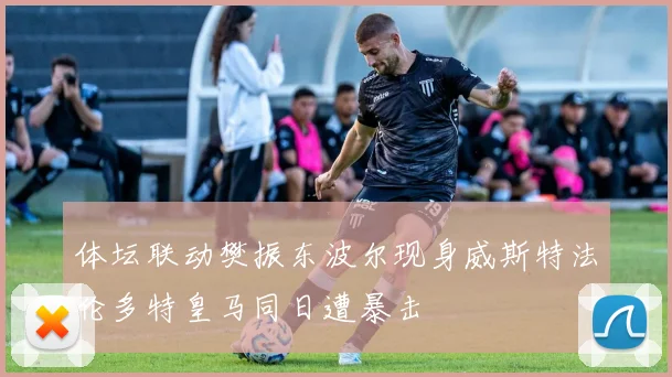 体坛联动樊振东波尔现身威斯特法伦多特皇马同日遭暴击